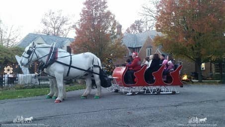 Our Sleigh giving rides during a holiday event in Lakewood Ohio