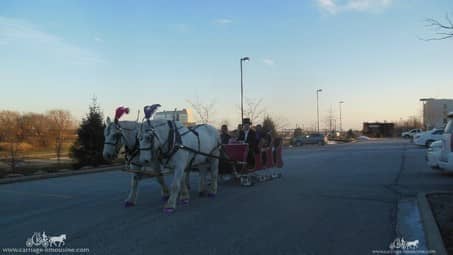 Giving rides during a princess party in Broadview Heights Ohio