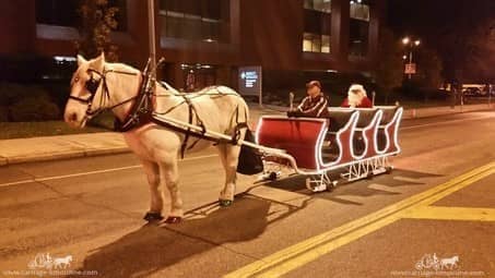 Our horse drawn Sleigh before a parade in Youngstown OH