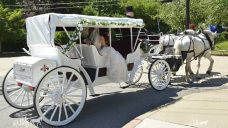 Taking the couple for a ride after their wedding in Sewickley, PA