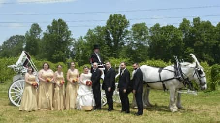 The entire bridal party with our Stretch Victorian after a wedding in Rootstown, OH