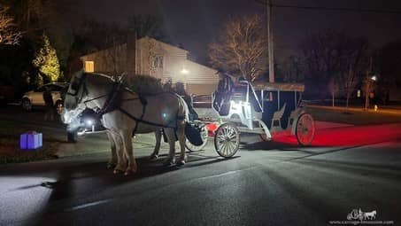Our Stretch Victorian Carriage during a family holiday party in Warren, OH
