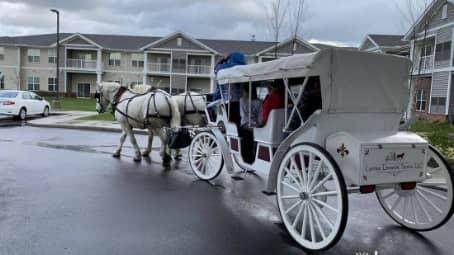 Our horse drawn Stretch Victorian Carriage giving rides during a Christmas event in Medina, OH