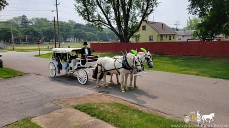 The couple ready to ride off in our Stretch Victorian after a wedding in Rootstown, OH