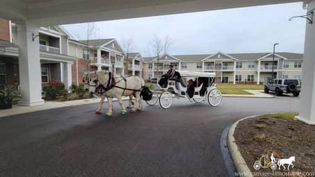 The Stretch Victorian Carriage giving rides during a holiday event in Medina, OH