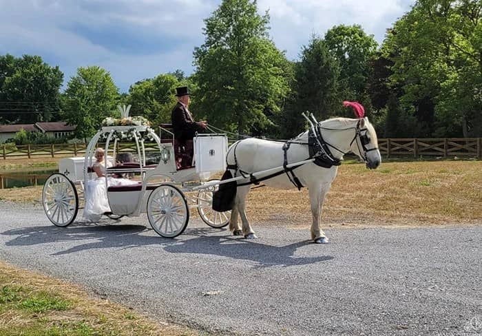  Our Cinderella Carriage before a in Champion, OH