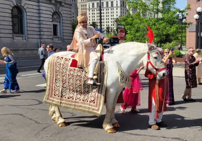  Indian Wedding Horse during a Baraat in Cleveland, OH