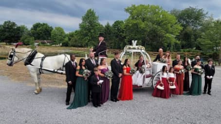  Our one of a kind Cinderella carriage after a wedding in Champion, OH