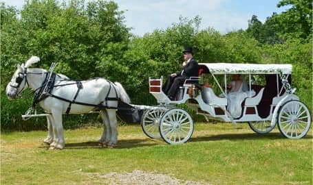  Our Stretch Victorian Carriage before a wedding in Rootstown, OH