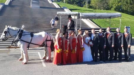  Our one of a kind Limousine Horse Drawn Carriage at a wedding in Canton, OH