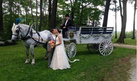  Our one of a kind Limousine carriage after a wedding at Sevens Springs Resort in PA