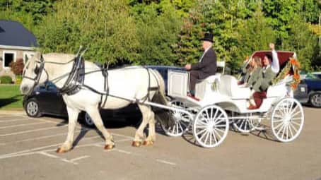  Our Victorian carriage at a wedding near OH