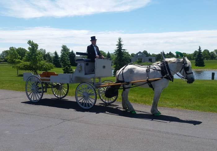 Our one of a kind Horse Drawn Caisson Hearse before a funeral outside of Cleveland, OH