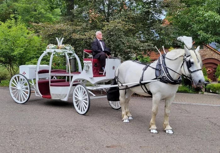 Our one of a kind Cinderella Carriage during a wedding