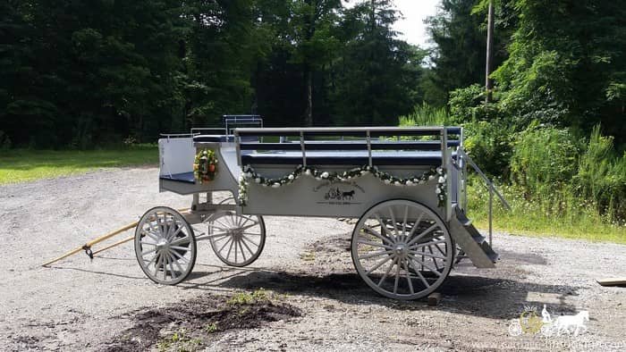 Limousine Carriage