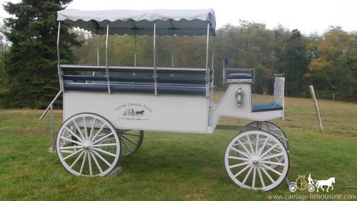 Limousine Carriage