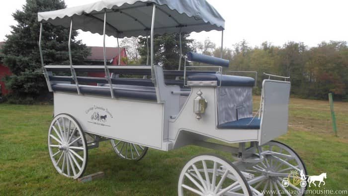 Limousine Carriage