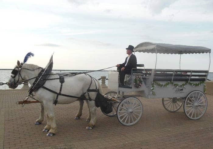 Our one of a kind horse drawn Limousine Carriage after a wedding right on lake Erie in downtown Cleveland, OH
