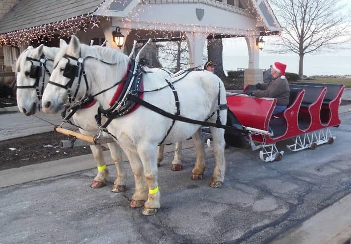 Our one of a kind horse drawn sleigh between giving Sleigh rides in Bratenahl, OH