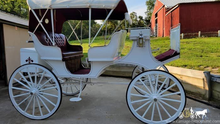 Victorian Carriage details