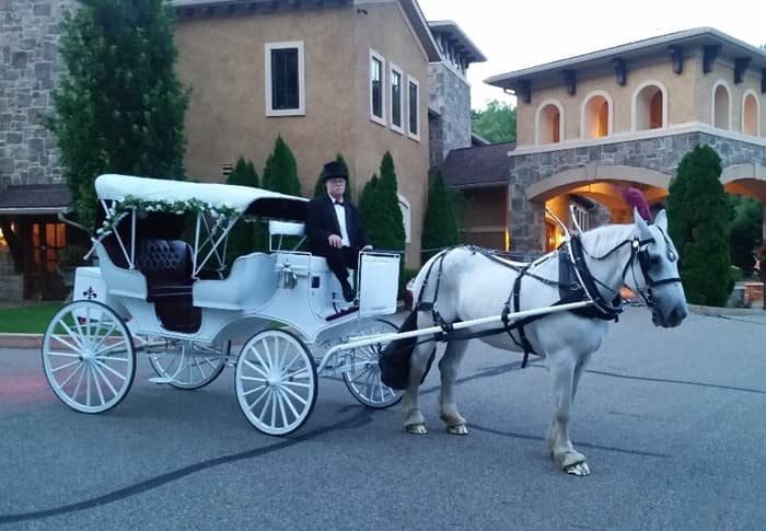 Our Victorian/Vis-a-vis Carriage at a wedding in Ohio