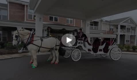 Horse-drawn carriage video near Medina Ohio