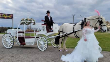 The Cinderella Carriage after a wedding outside of Canton in North Lawrence, OH