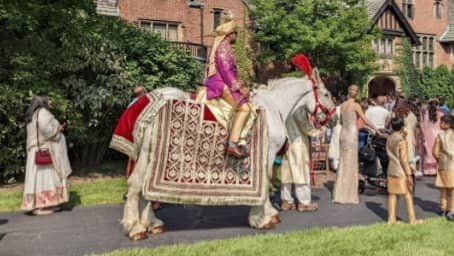 Our Baraat Horse during a procession in Akron, OH