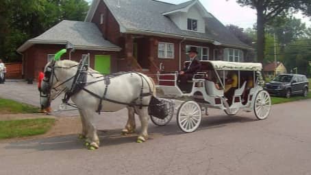 The Stretch Victorian Carriage during a party near Akron, OH