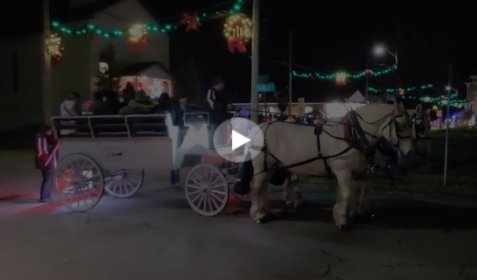 Horse-drawn carriage video near Pittsburgh Pennsylvania
