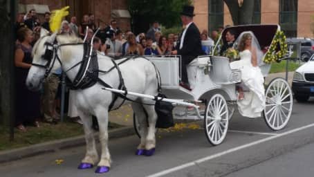 Victorian Carriage after a wedding outside of Pittsburgh in Sewickley, PA