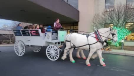 Our Limousine Carriage during a holiday event outside of Youngstown in Poland, OH
