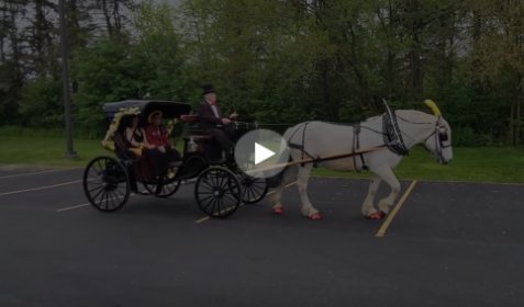 Horse-drawn carriage video near Youngstown Ohio