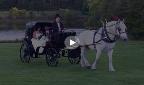 Princess Carriage home page video