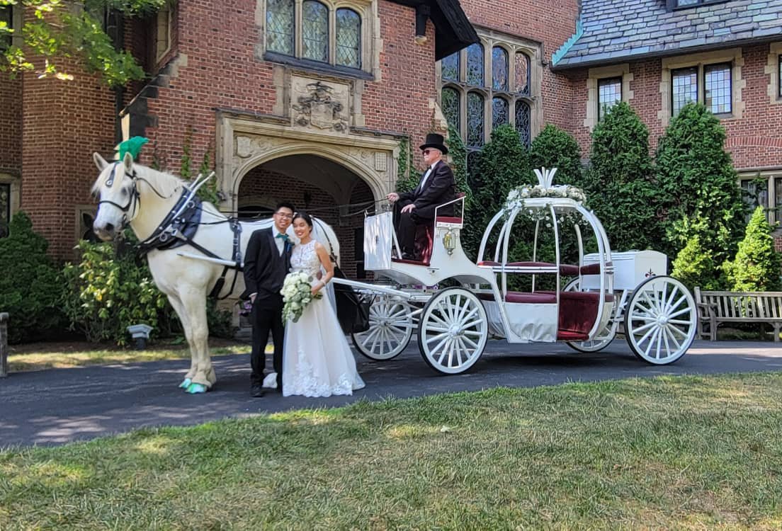 Horse Drawn Cinderella Carriage