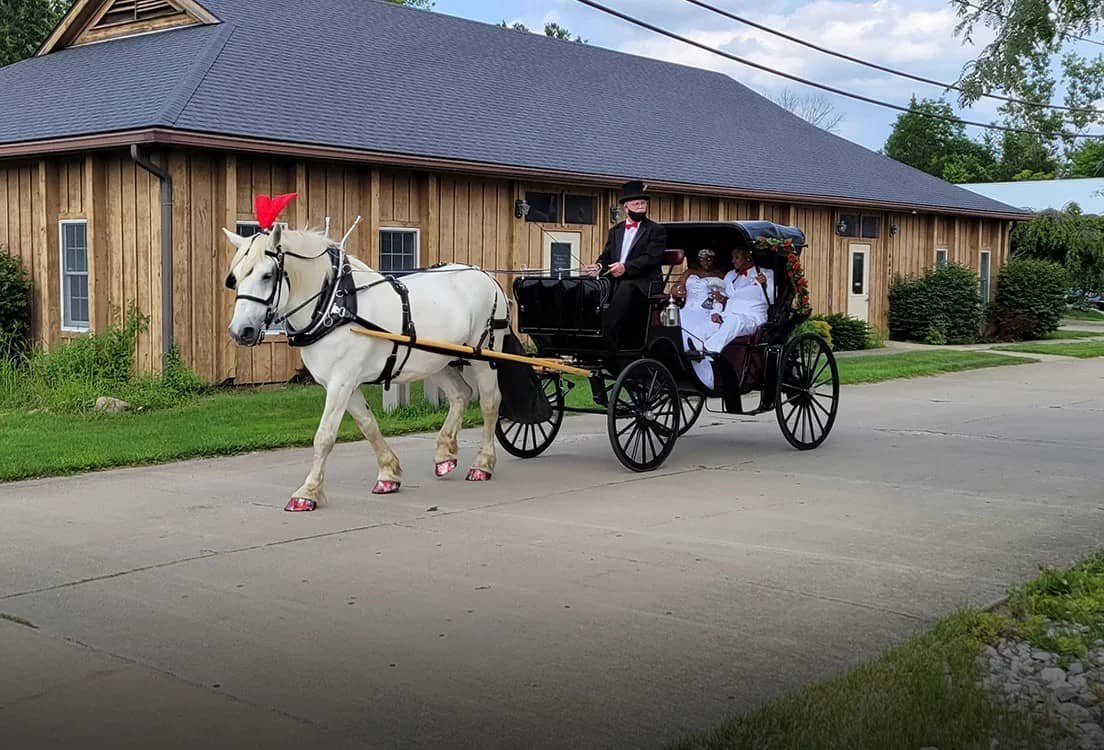 Horse Drawn Princess Carriage