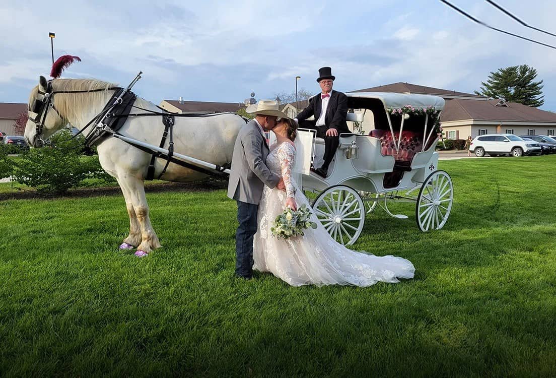 Horse Drawn Victorian Carriage