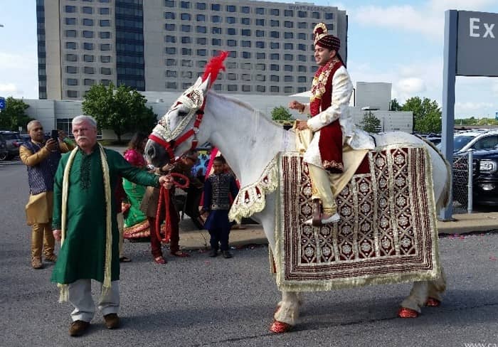 Indian Wedding Horse for a Indian Baraat at Pittsburgh International Airport