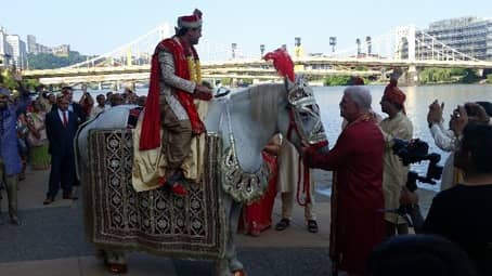 One of our Indian Wedding horses during a Baraat at the David L Lawrence Convention Center in Pittsburgh, PA