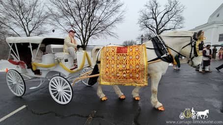 Indian Baraat Carriage for a Indian wedding in Sewickley, PA