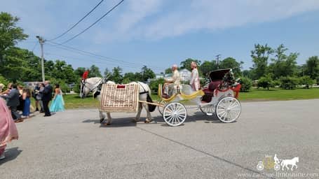 One of our Indian Wedding carriages during a Baraat in Chesterland, OH