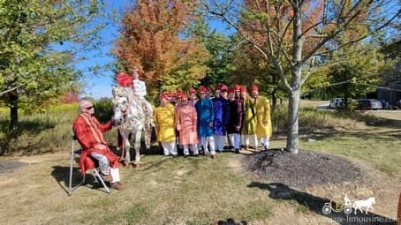 The groom and groomsmen posing with our Indian Wedding Horse before the Baraat at 1885 Farms in Navarre, OH
