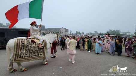 Indian Baraat Horse during the Baraat in Geneva-on-the-Lake, OH