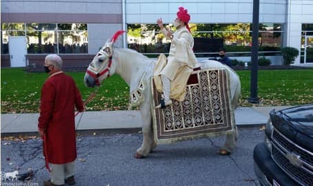 Indian Wedding Horse during a Baraat in Cleveland, OH
