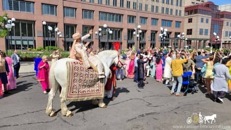 Indian Baraat Horse for a Indian Wedding in downtown Cleveland, OH