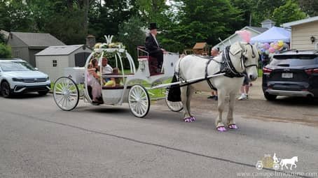  Our one of a kind Cinderella Carriage at a birthday party in Columbiana, OH