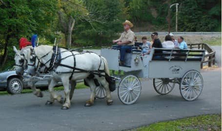  Our one of a kind Limousine carriage at a picnic at Bradys Run Park in Beaver PA