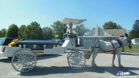 Caisson Horse Drawn Hearse in Randolph, OH