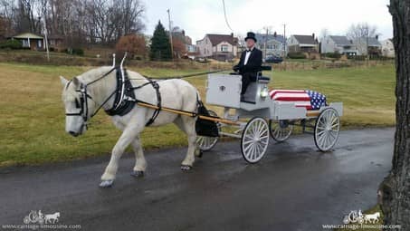 Our Horse Drawn Caisson during a funeral in West Mifflin, PA