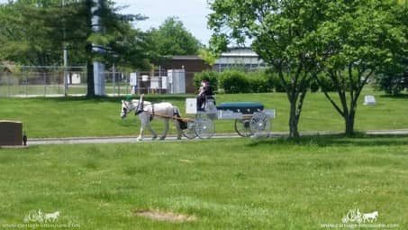 Caisson Hearse during a funeral in Brook Park, OH